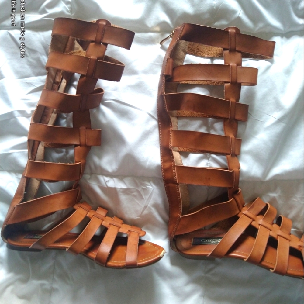 Brown Gladiators